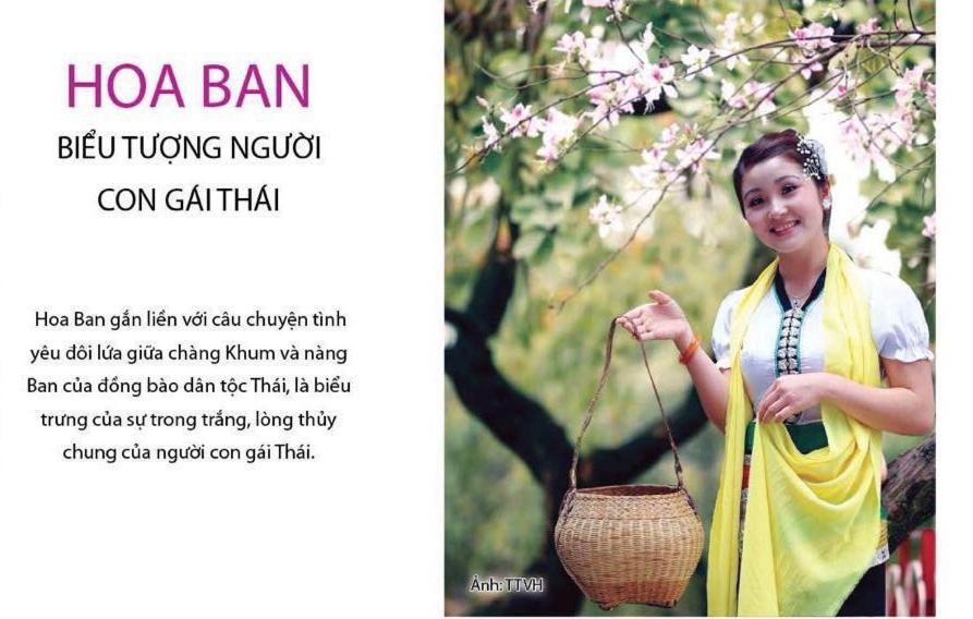 Agri Hotel Diện Biên Phủ 外观 照片